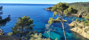 BANDOL 